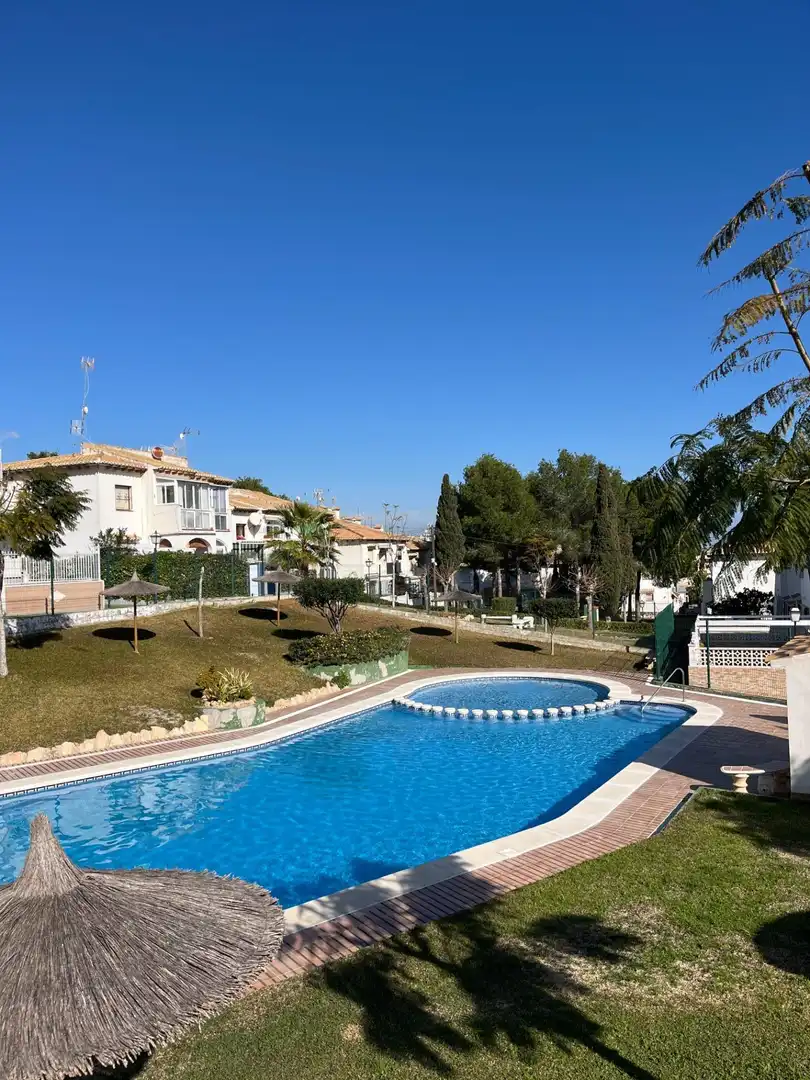 Piscina de Planta baixa de lloguer en Torrevieja amb Aire condicionat, Moblat i Piscina comunitària