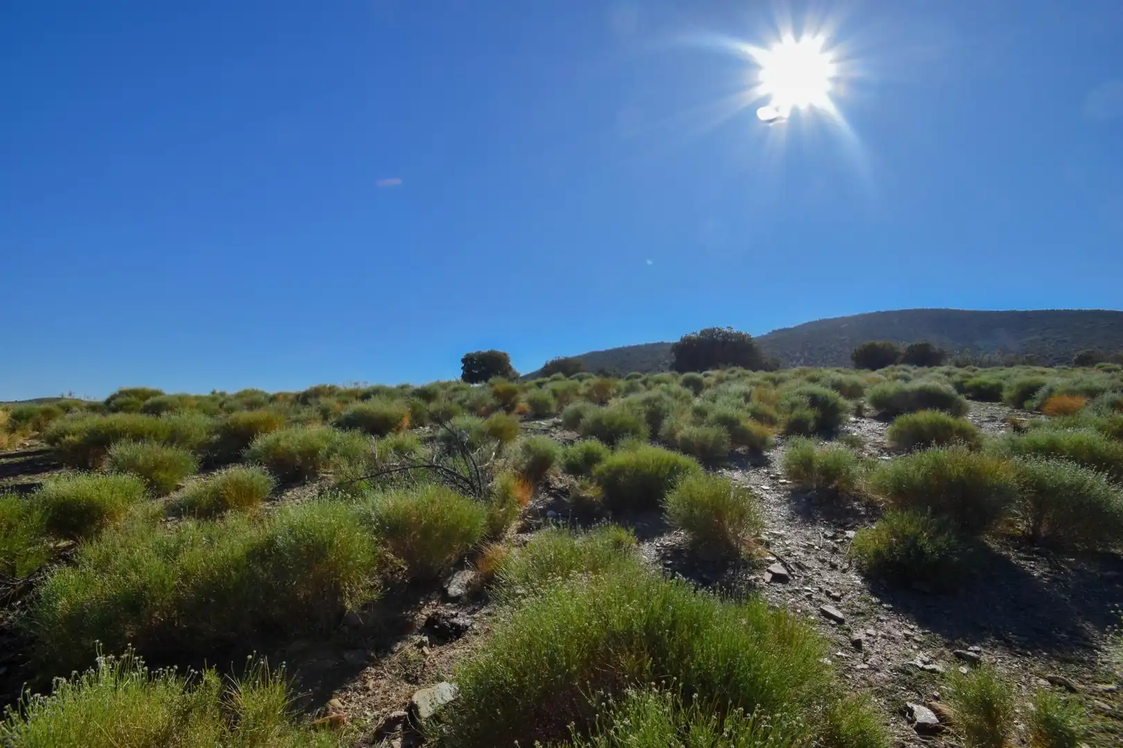 Terreno en venta en Paraje de las Perdices, Lugros