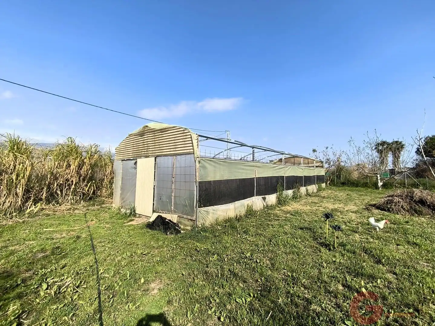 Vista exterior de Finca rústica en venda en Motril amb Terrassa i Traster