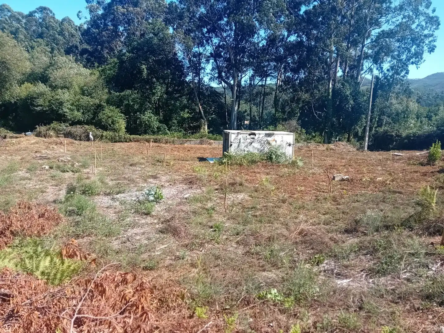 Terrain rustique à vendre à Carretera Portal-Valadares 151, imagen 5