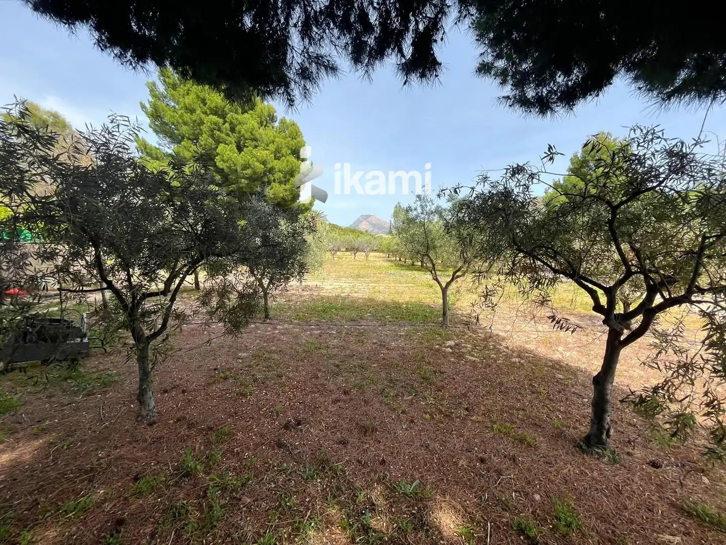 Casa o chalet en venta en Elda con Calefacción, Trastero y Piscina