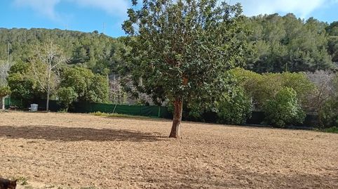Photo 5 of Country homes for sale in Mas Alba, Sant Pere de Ribes