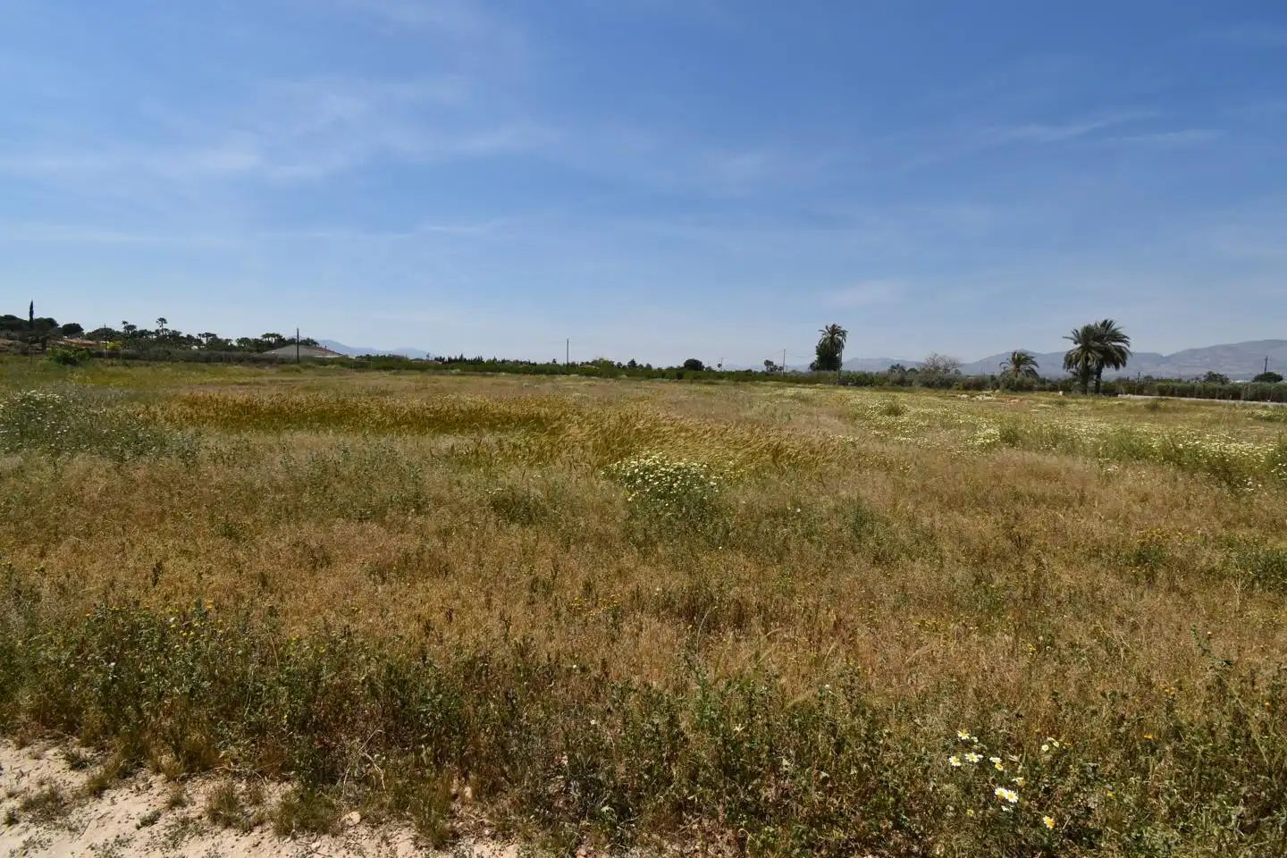 Casa o xalet en venda en Elche / Elx amb Jardí privat