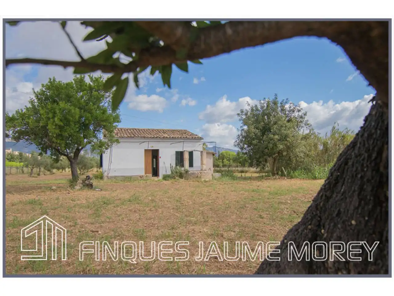 Landhaus mit Garten zum Verkauf in Poligono 4 Sn, imagen 4