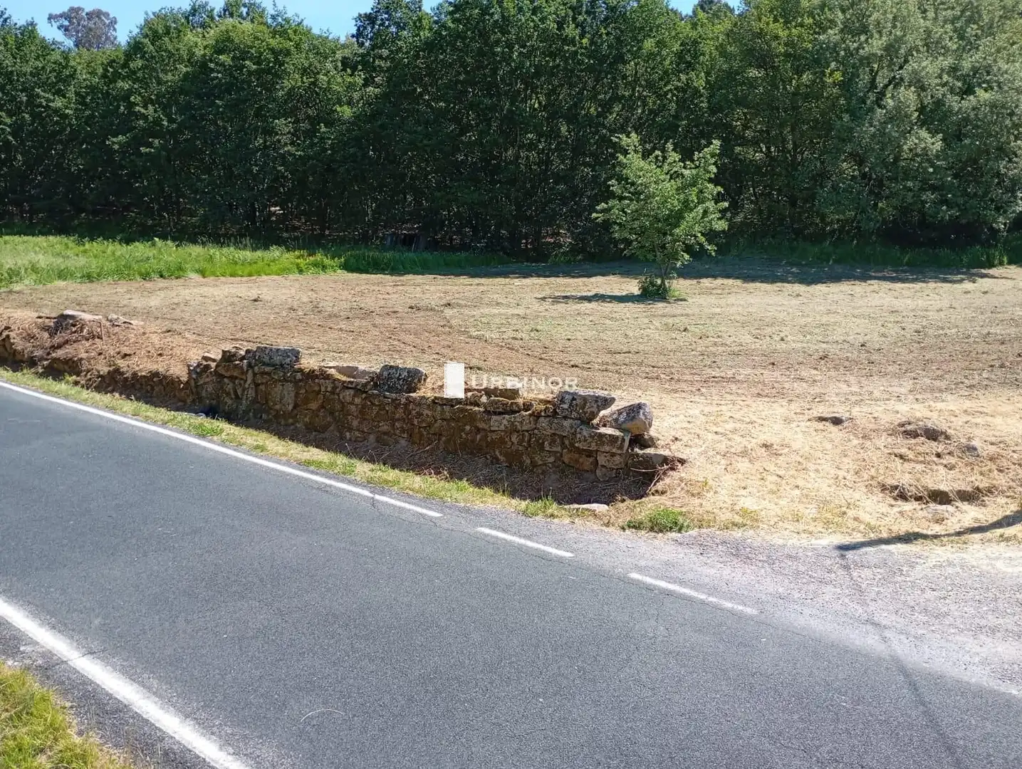 Terreni e lotti in vendita a O Pereiro de Aguiar, imagen 5
