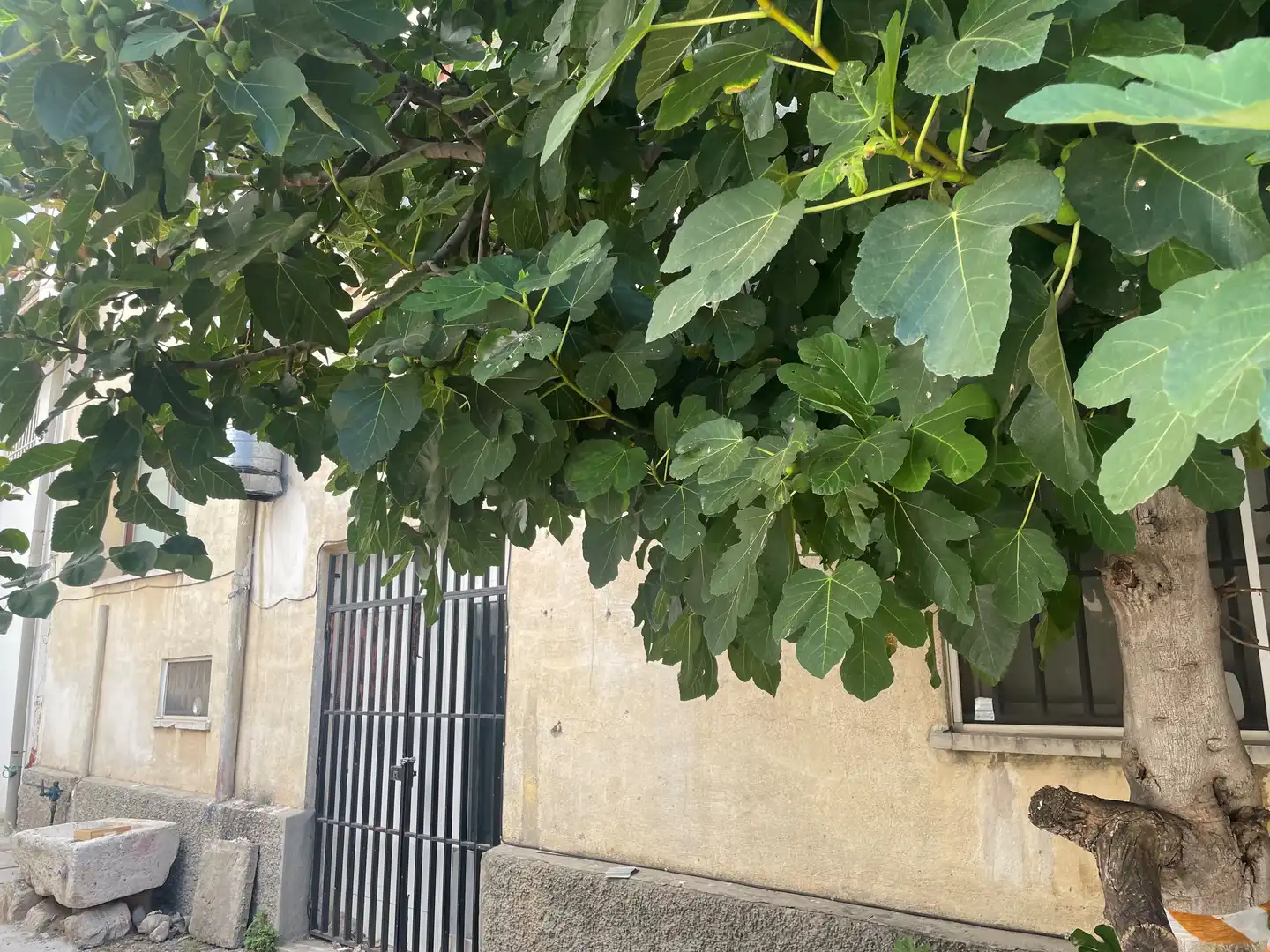 Casa o xalet en venda a Calle Mayor, Casco histórico