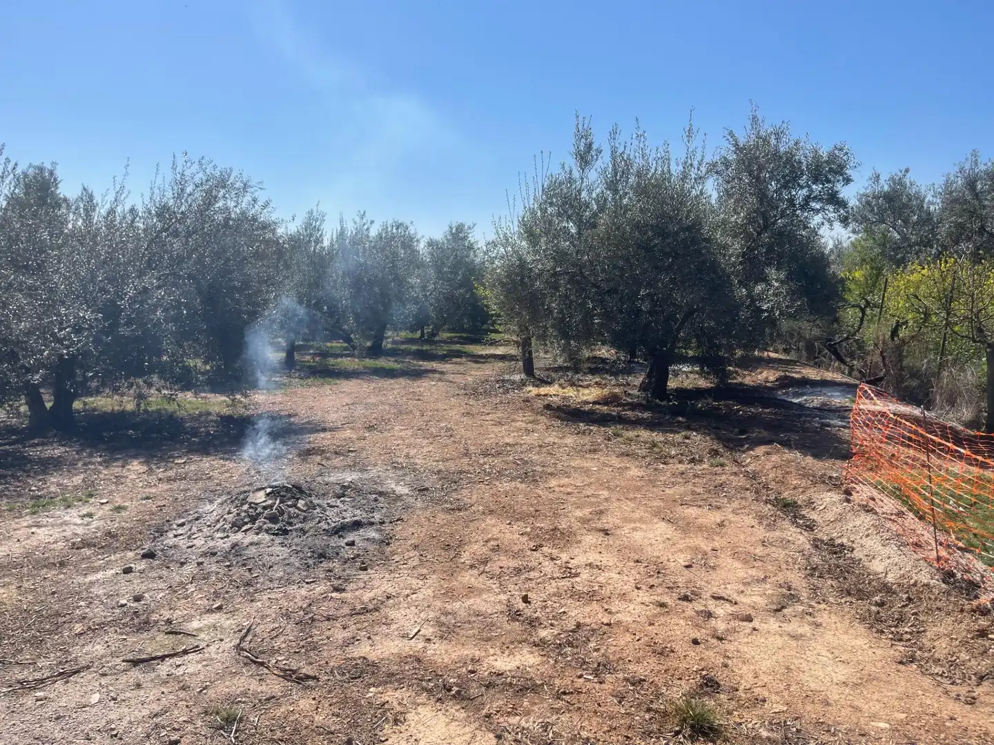 Finca rústica en venda en Albolote amb Piscina