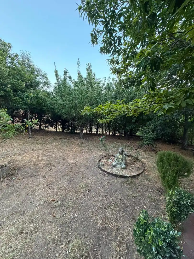 Finca rústica en venta en El Arenal  con Amueblado