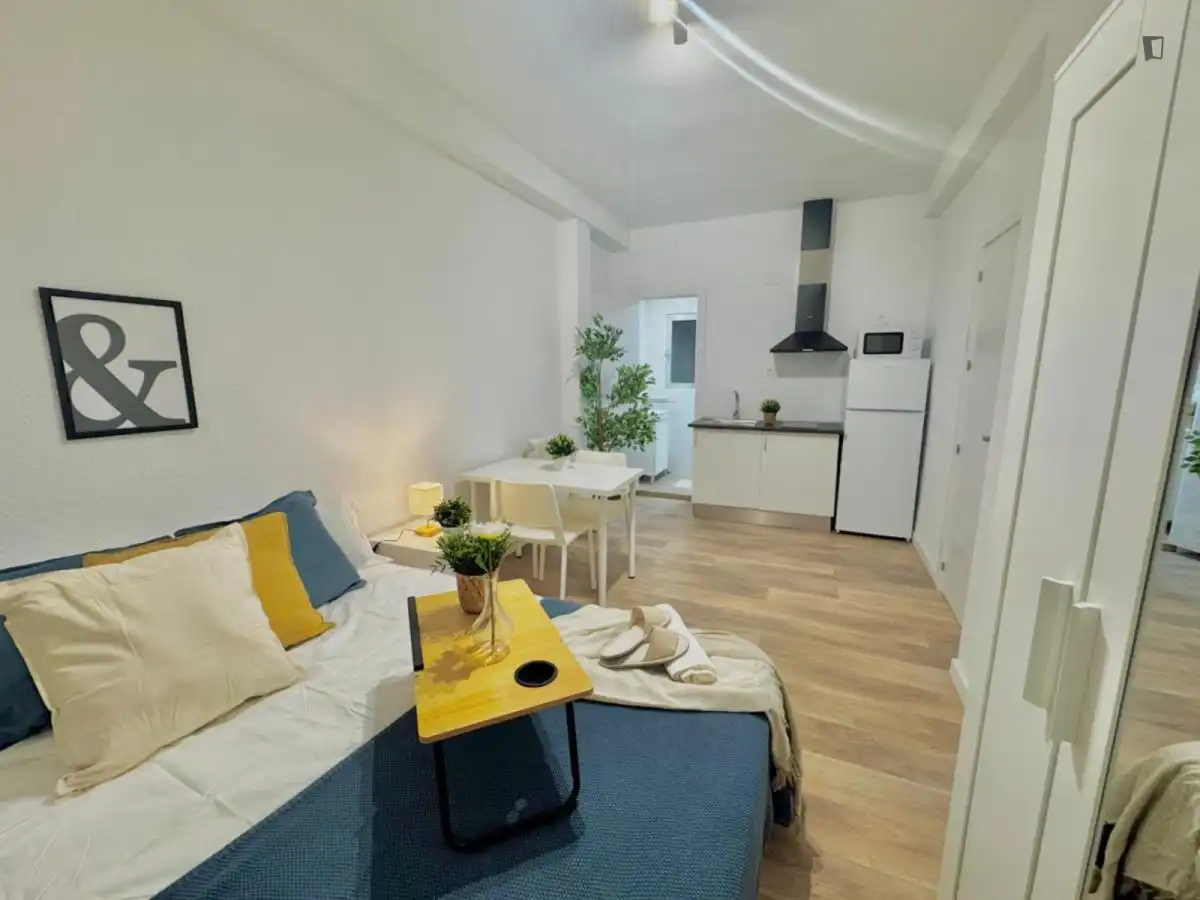 Living room of Apartments for share in  Toledo Capital  with Furnished, Washing machine and Microwave