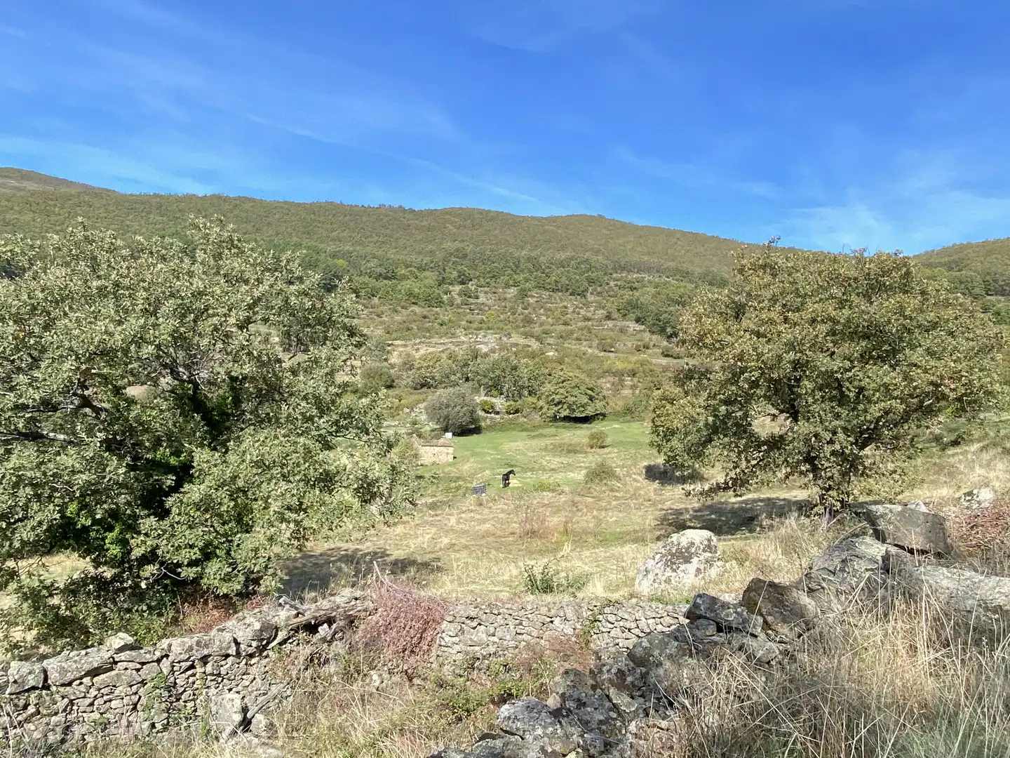 Terreni e lotti in vendita a Barrado, imagen 13