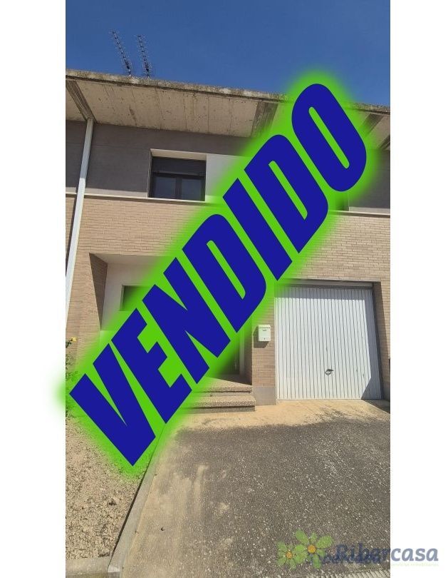 Exterior view of House or chalet for sale in Cintruénigo  with Private garden