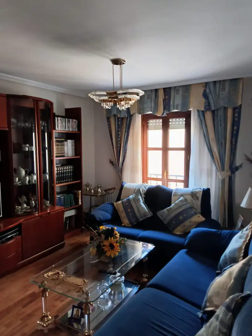 Sala de estar de Piso en venta en Alegría-Dulantzi con Calefacción y Balcón