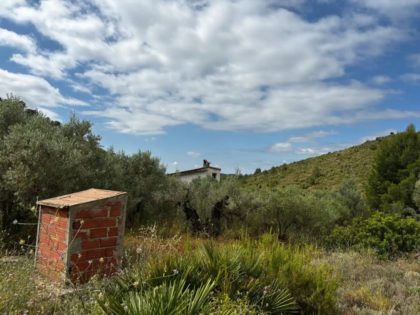 Casa o xalet en venda en Azuébar amb Terrassa