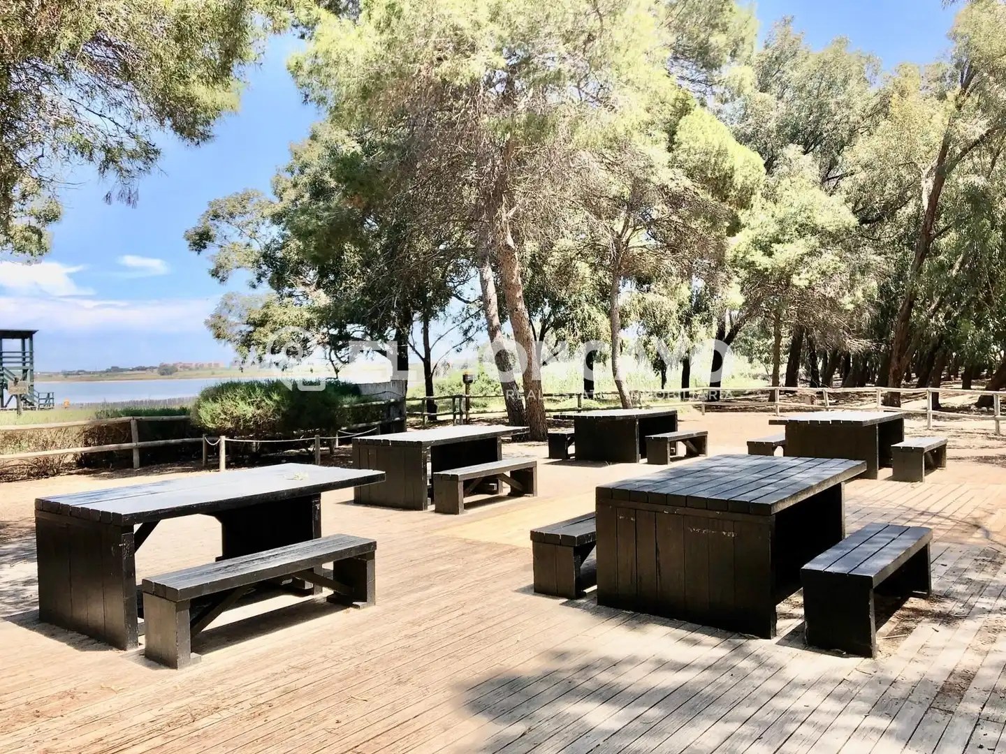 Terrassa de Casa o xalet en venda en Rojales amb Jardí privat, Terrassa i Piscina