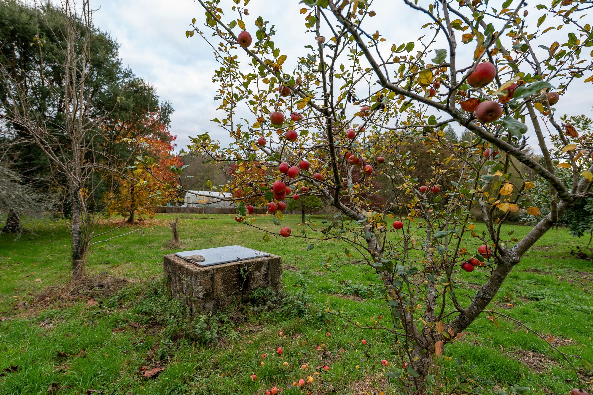 Jardí de Finca rústica en venda en Outeiro de Rei amb Moblat