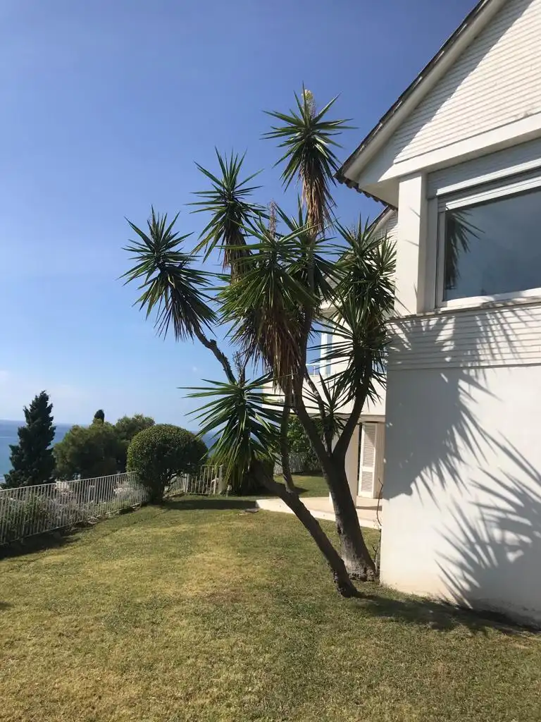 Villa mit Garten zum Verkauf in Bellamar, imagen 93