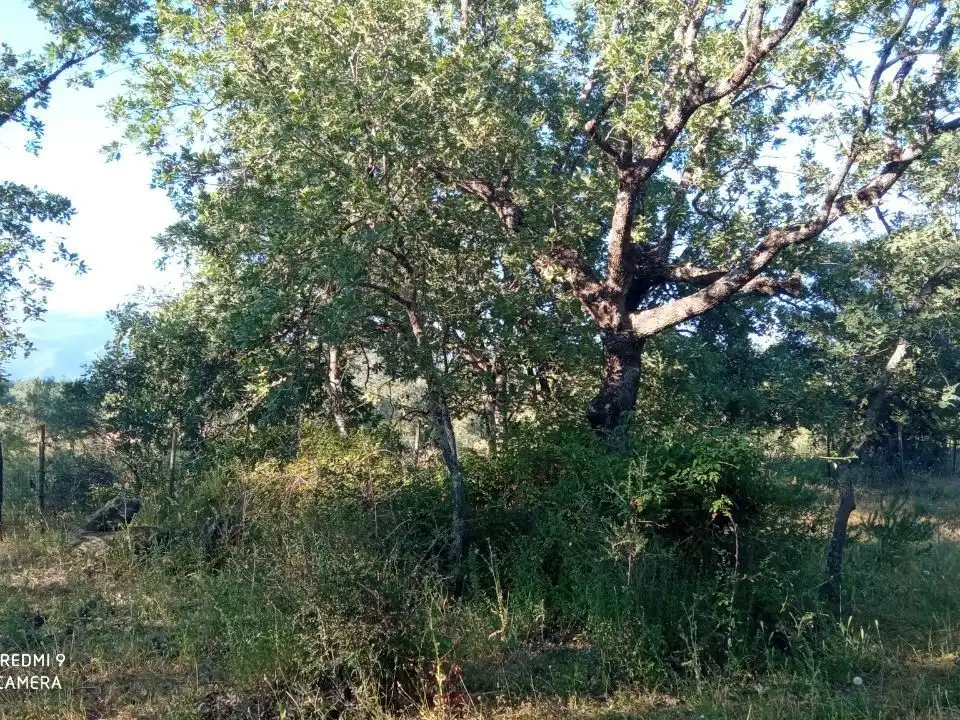 Terreno en venta en Robledillo de la Vera