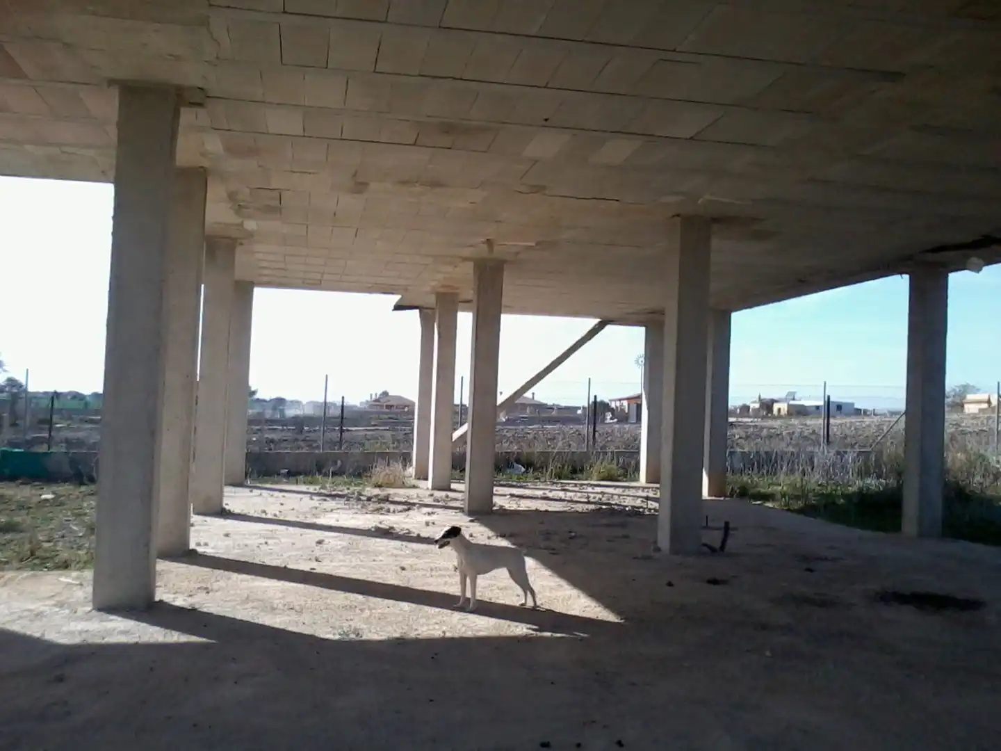 Finca rústica en venda en El Puerto de Santa María