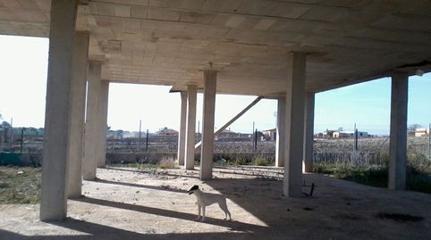 Foto 2 de Finca rústica en venda a Carretera de Sanlúcar - Sudamérica, El Puerto de Santa María