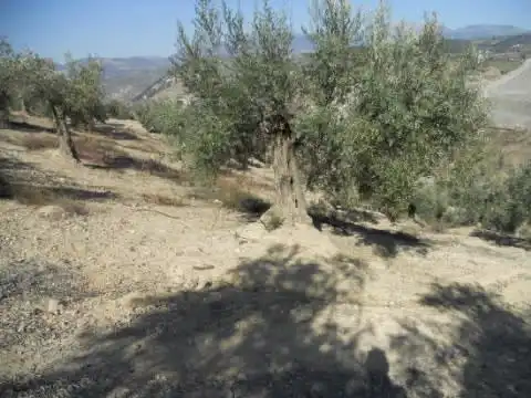 Terreni e lotti in vendita a Prado De Las Salinas, imagen 3
