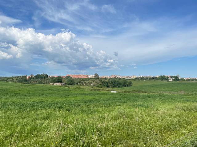 Terreno en Venta en Coria