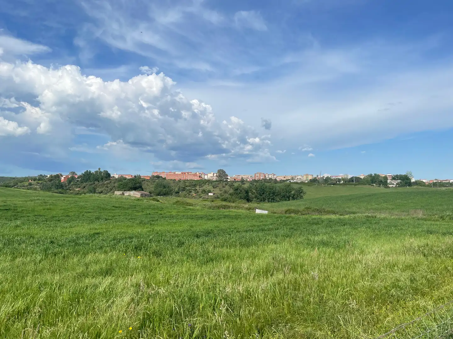 Terreni e lotti in vendita a Coria, imagen 5