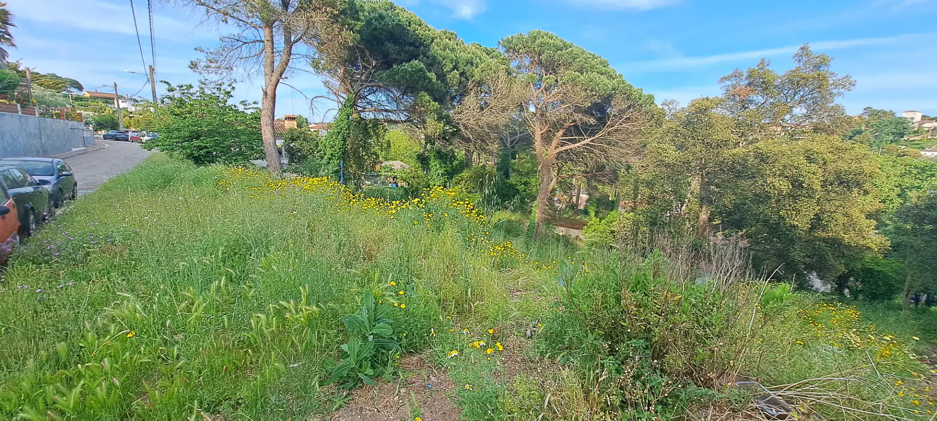 Wohnbaugrundstück zum Verkauf in Residencial Park, imagen 2