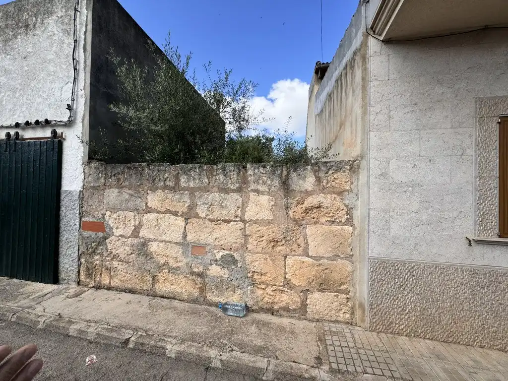 Terreno rustico in vendita a Sa Pobla, imagen 4
