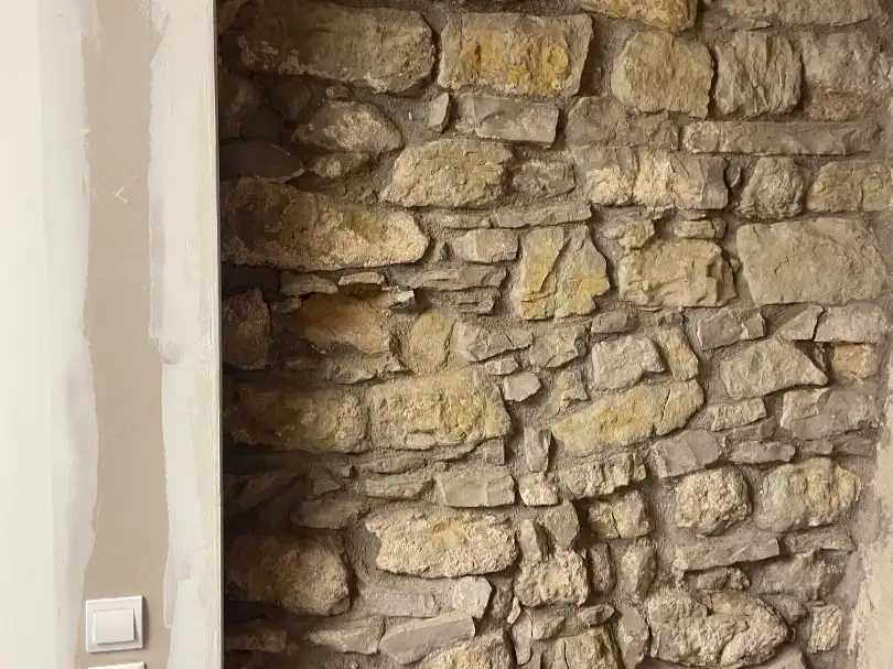 Maison avec jardin à vendre à mayo 1, imagen 10
