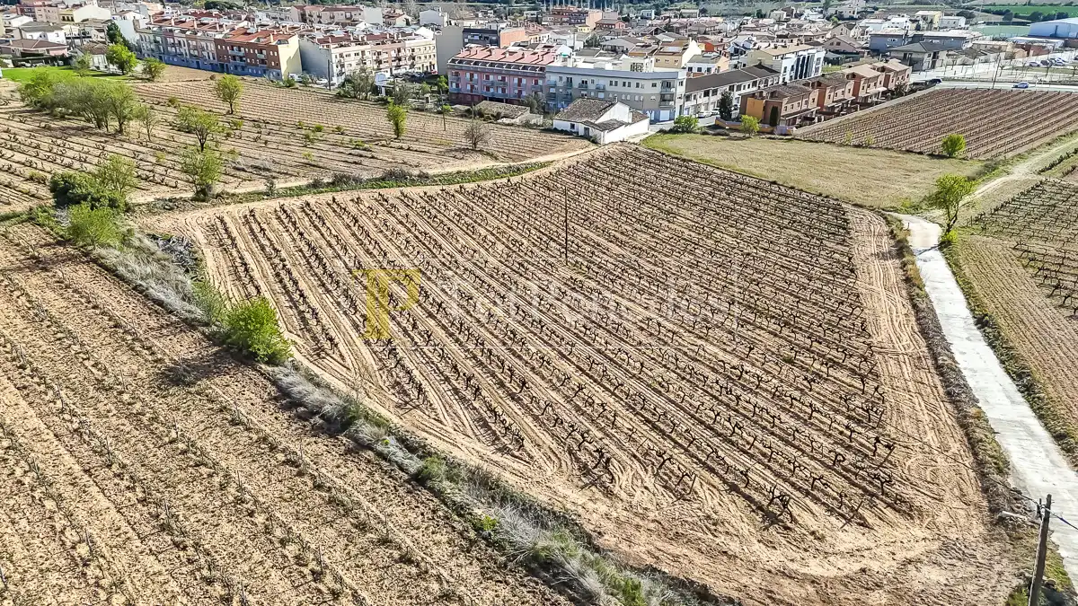 Terreny residencial en venda a Carrer de les Vinyes, imagen 6