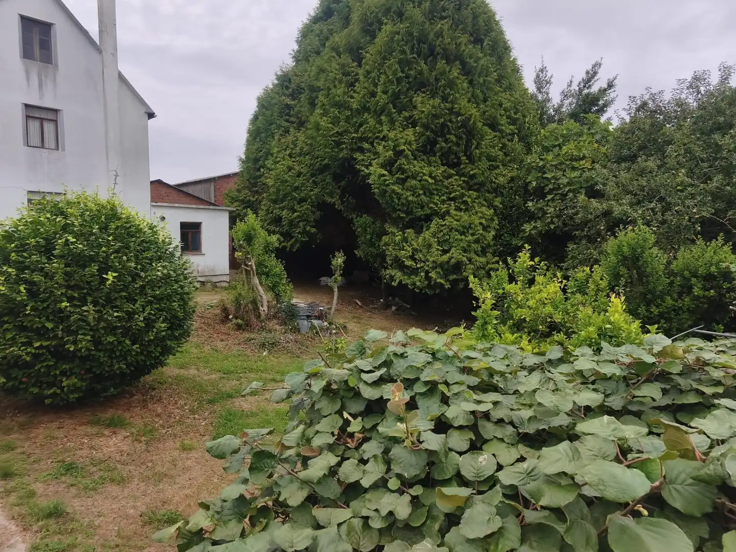 Maison avec jardin à vendre à Carretera GOLPILLEIRA, imagen 46