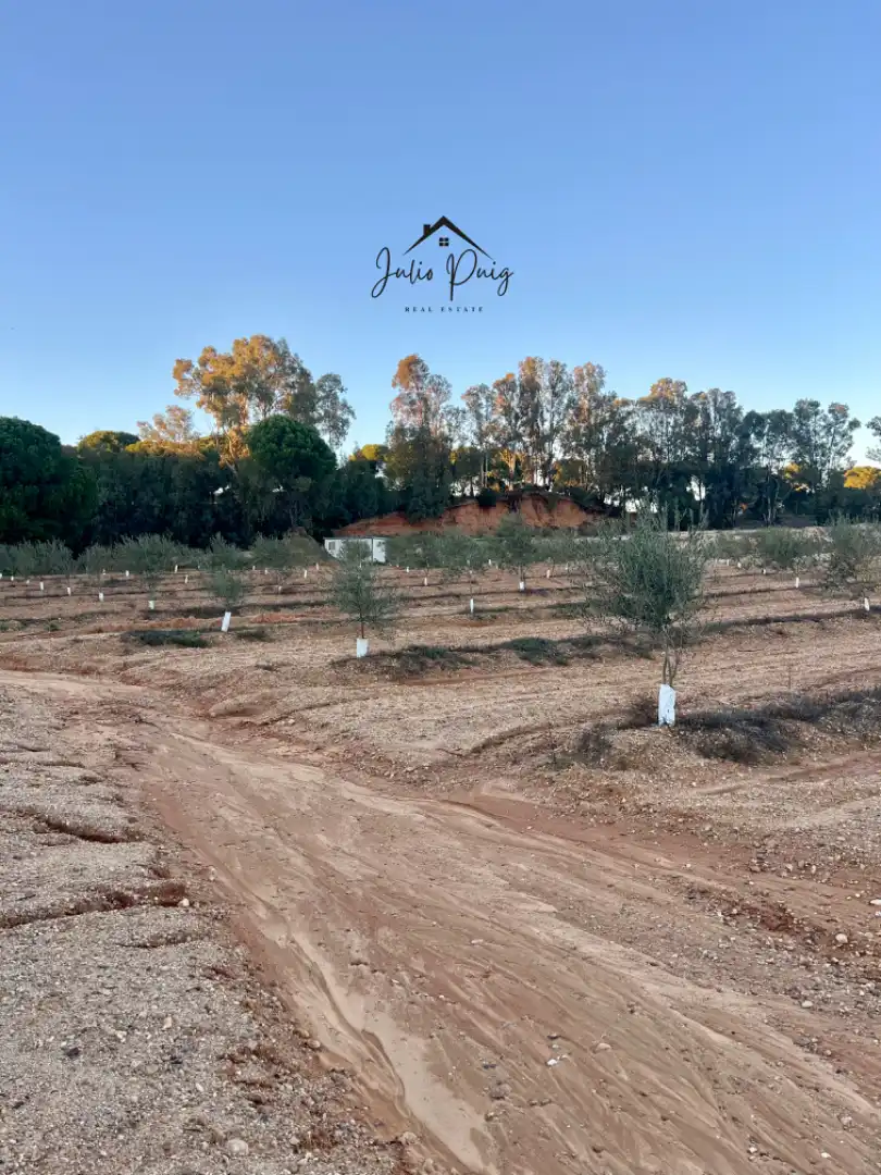 Terreni e lotti in vendita a La Puebla del Río
