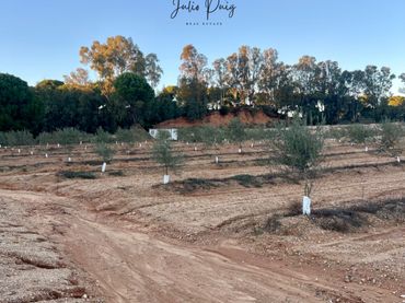 Rural land for sale in La Puebla del Río
