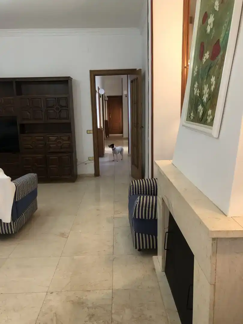 Piso en venta en Calle General Primo de Rivera, Zafra