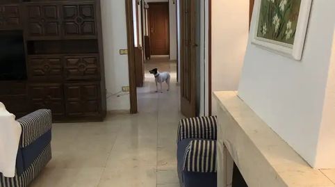 Foto 3 de Piso en venta en Calle General Primo de Rivera, 9e, Zafra, Badajoz