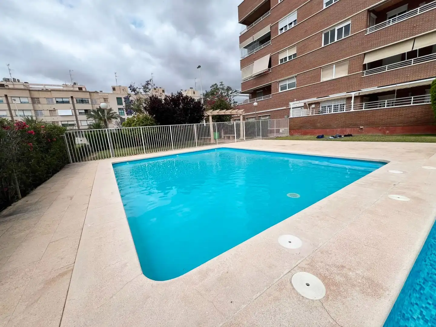 Swimming pool of Houses for sale in Elche ciudad