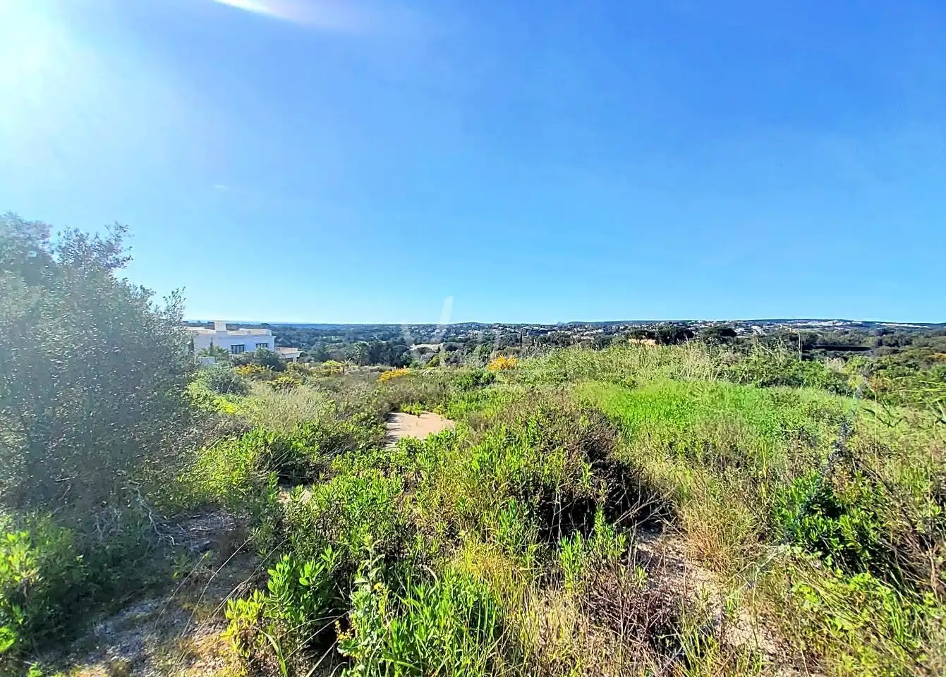 Terrenys i solars en venda a Lavanda En La Reserva De Sotogrande, imagen 7