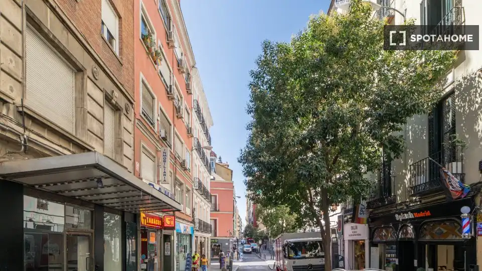 Appartamento in affitto a Centro, imagen 17