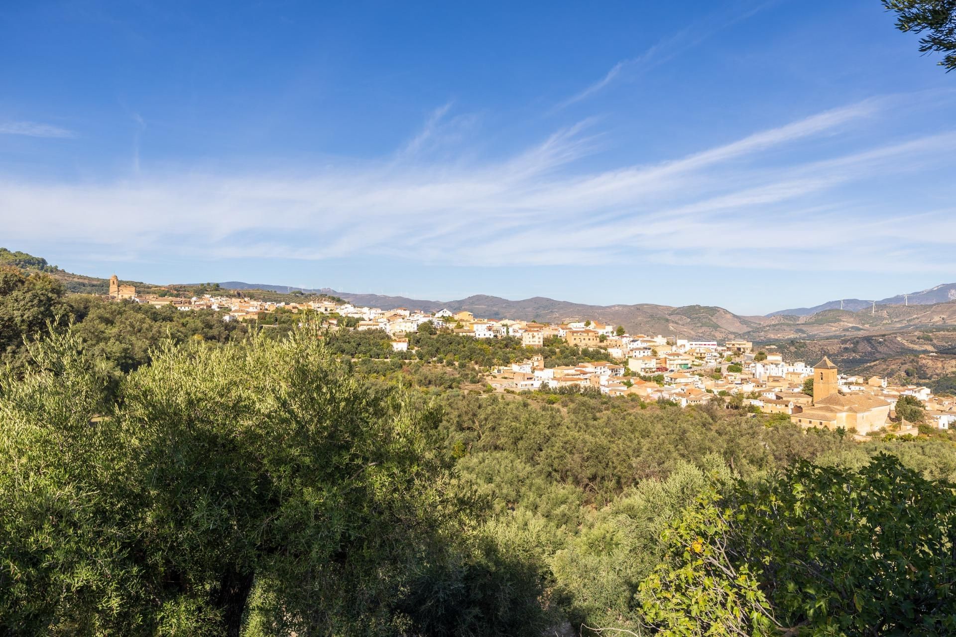 Vista exterior de Terreno en venta en Lecrín