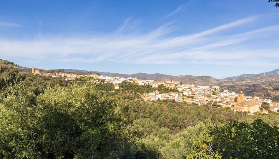 Foto 1 de Terreno en venta en Lecrín, Granada