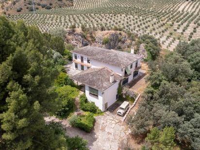 Vista exterior de Finca rústica en venda en Pinos Puente amb Calefacció, Jardí privat i Terrassa