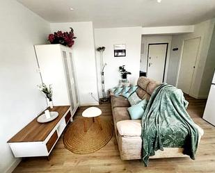 Living room of Flat to rent in El Astillero  