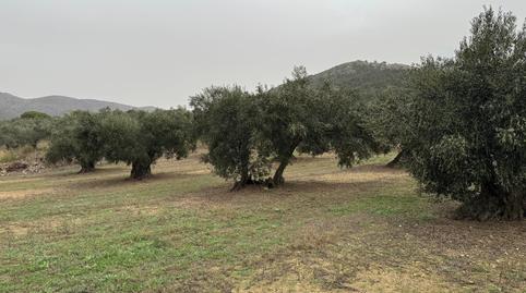 Photo 4 of Land for sale in Carrer de Dalt, Centre, Girona