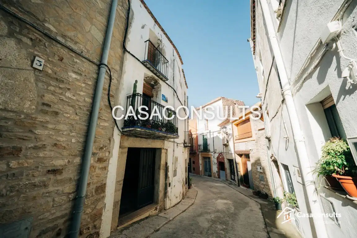 Casa amb terrassa en venda a Carrer Pla