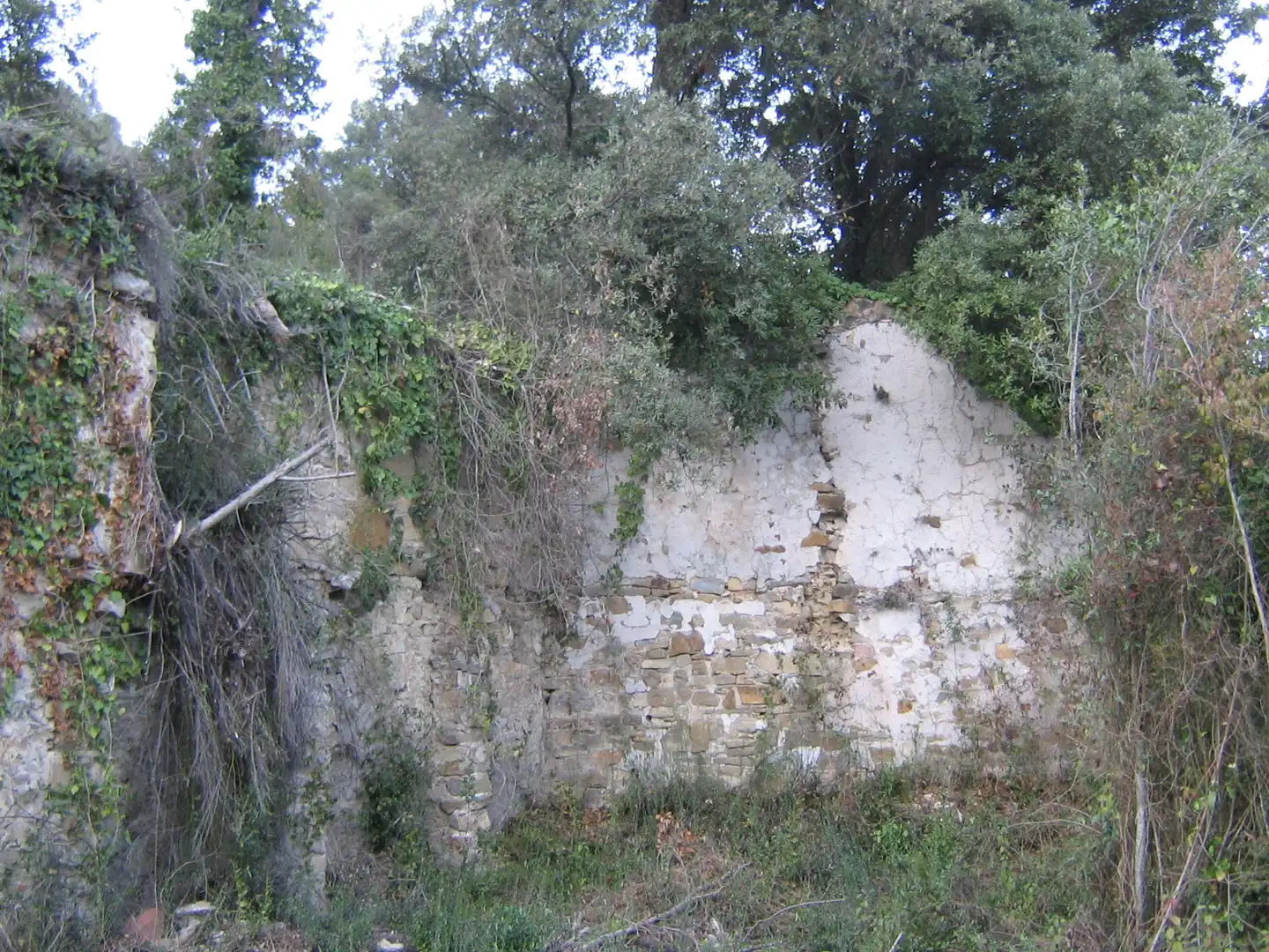 Rural land for sale in Montagut i Oix, imagen 6
