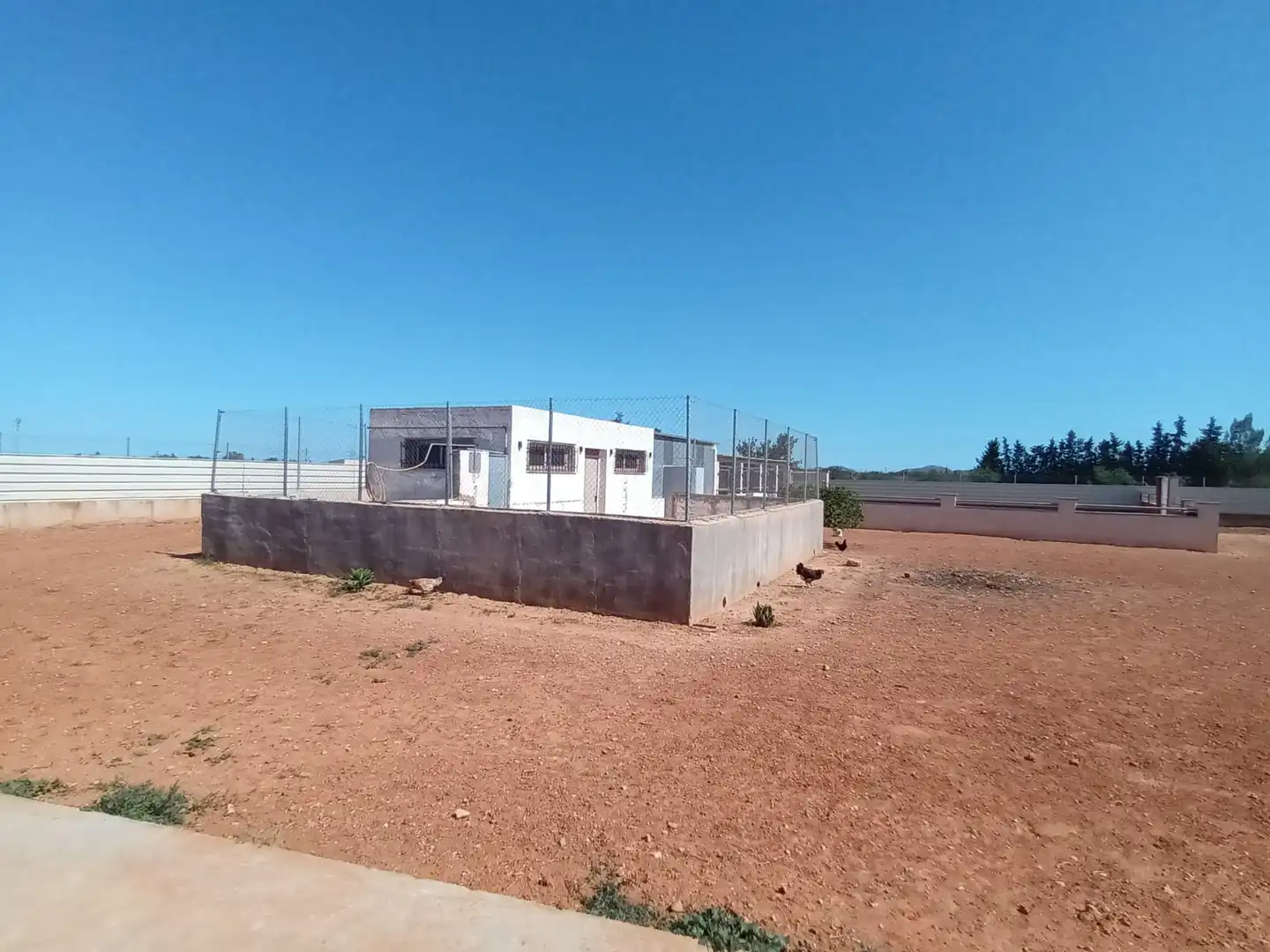 Terreno rustico in vendita a Pedanías Oeste, imagen 14
