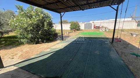 Foto 5 de Finca rústica en venda a Los Franceses – La Vega, Chiclana de la Frontera