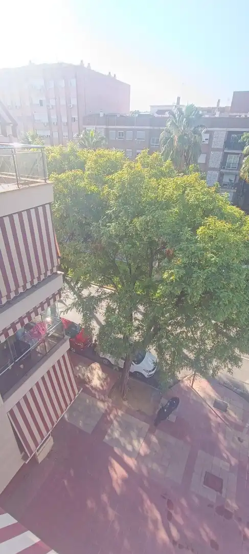 Àtic amb ascensor de lloguer a Calle ABENARABI 39, imagen 49