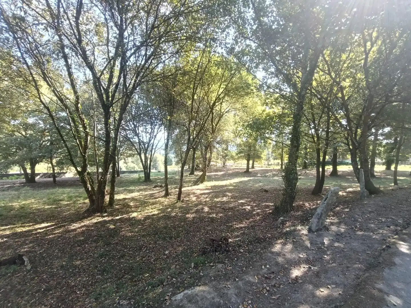 Residential land for sale in Lugar Barreiros, imagen 11