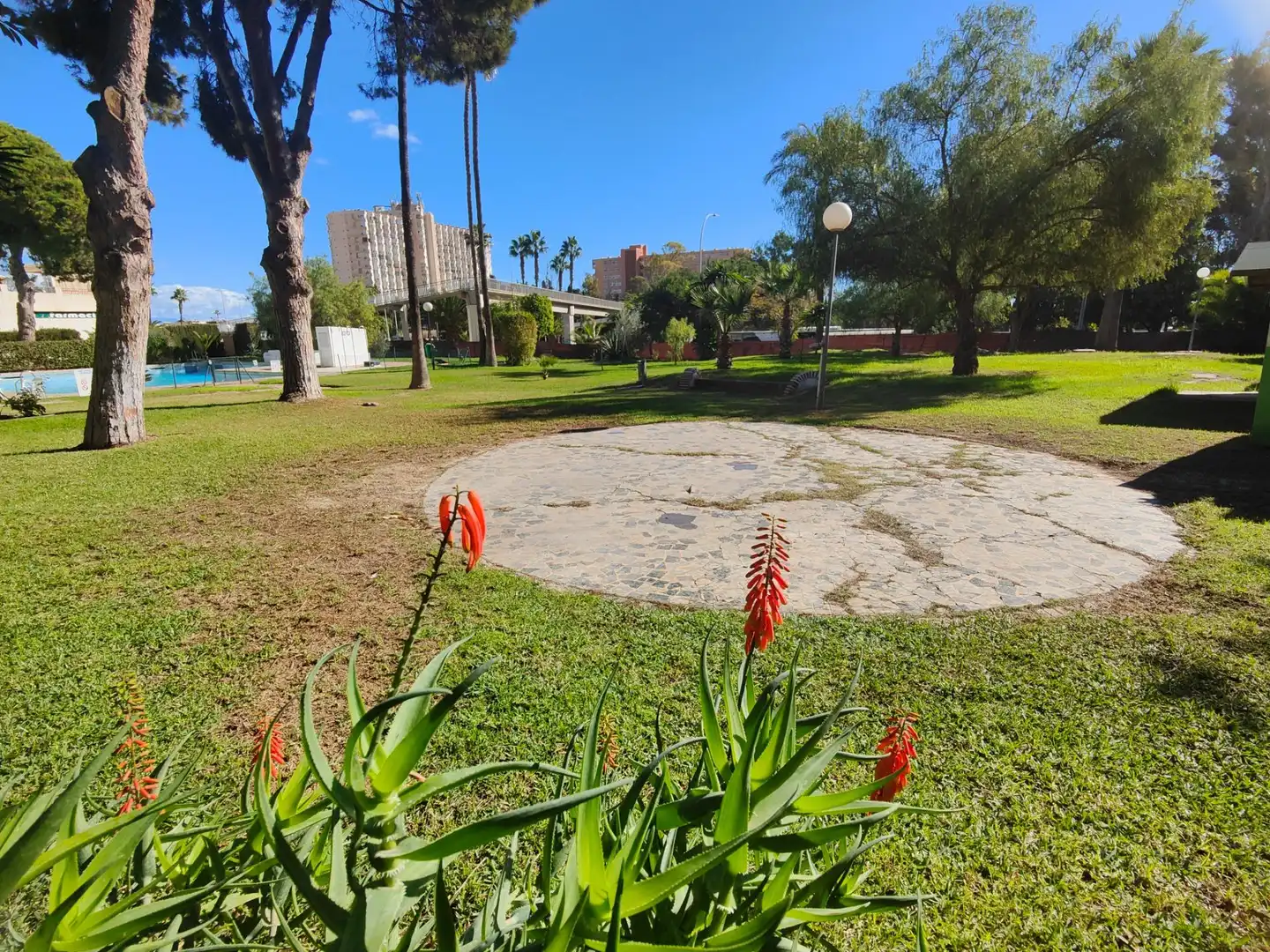 Vista exterior de Pis en venda en Torremolinos amb Jardí privat, Terrassa i Piscina comunitària